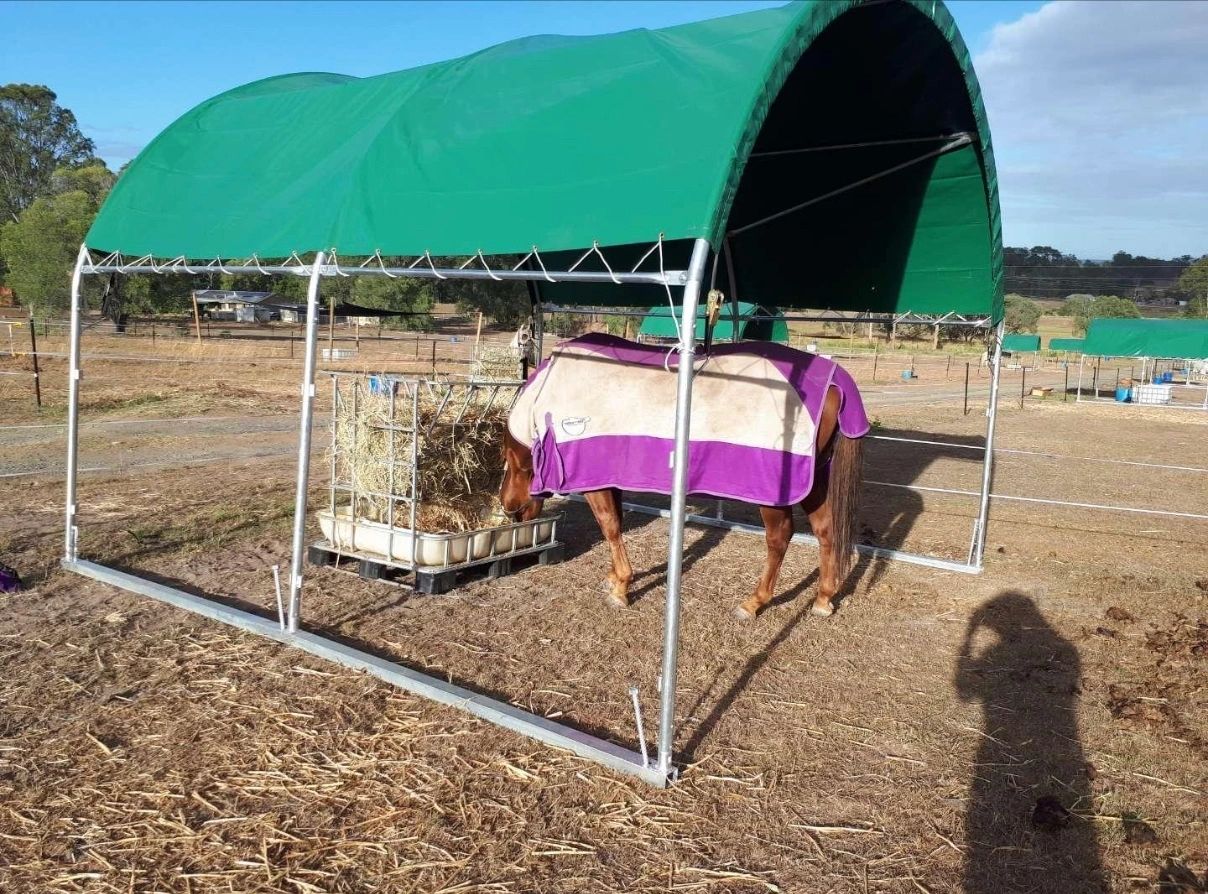 Box 10 — Animal Shelter