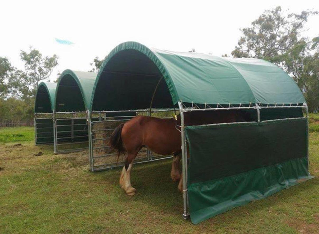 Animal shelter photo 2