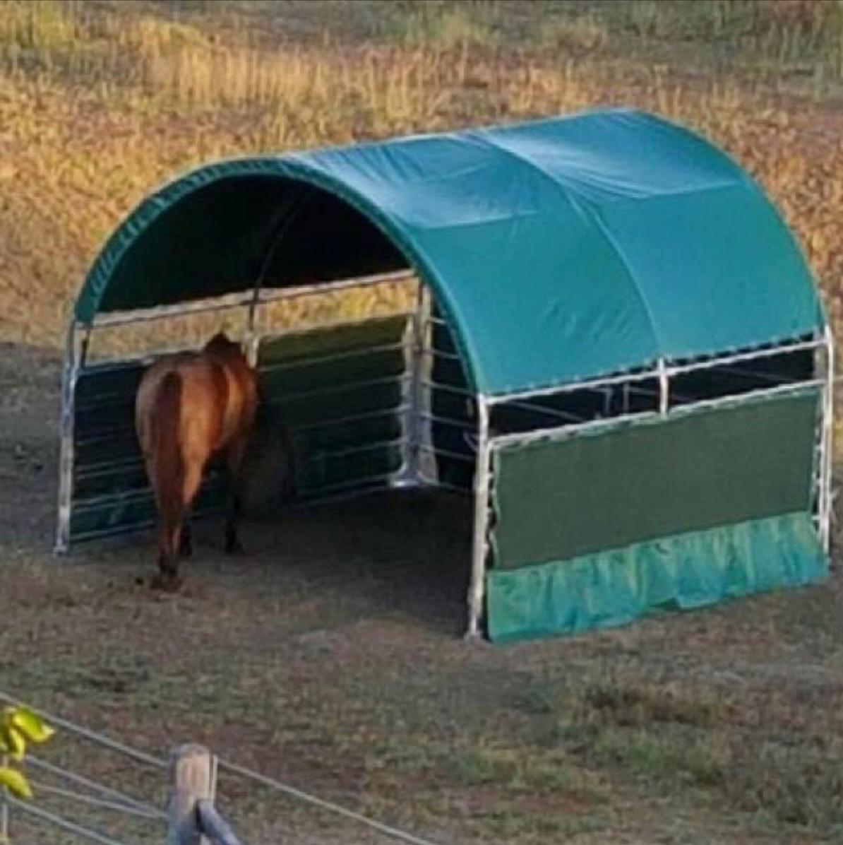 Animal shelter photo 3