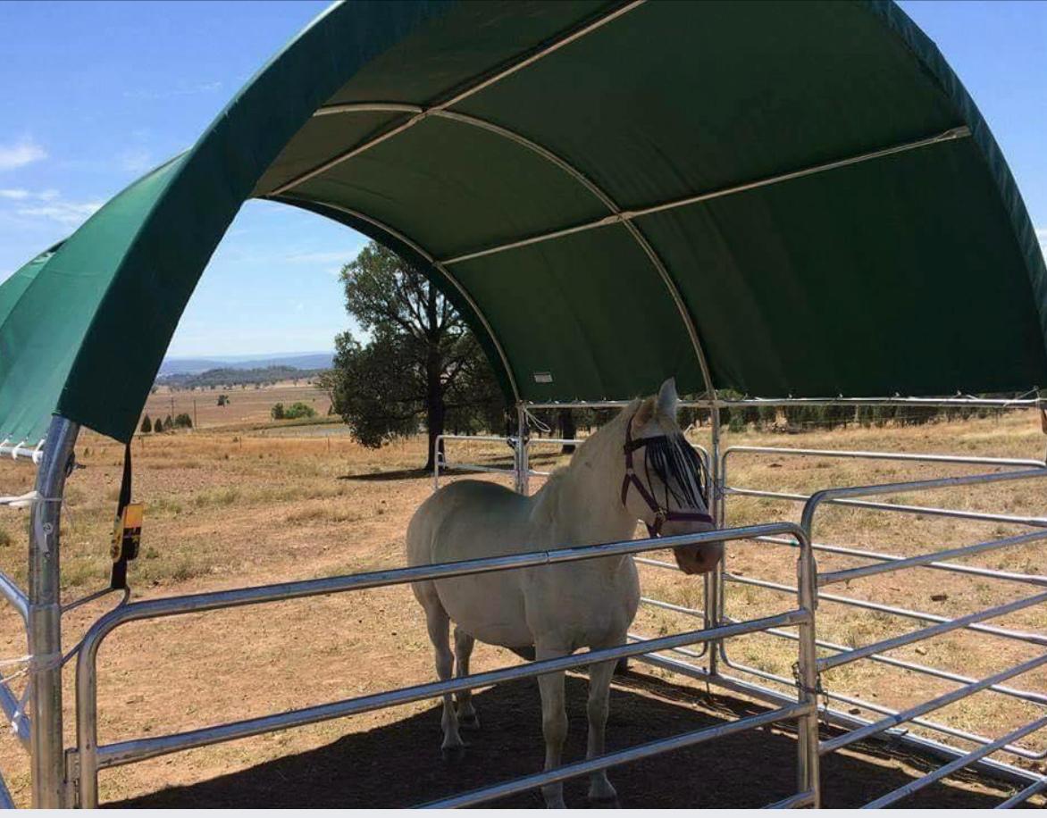 Animal shelter photo 4