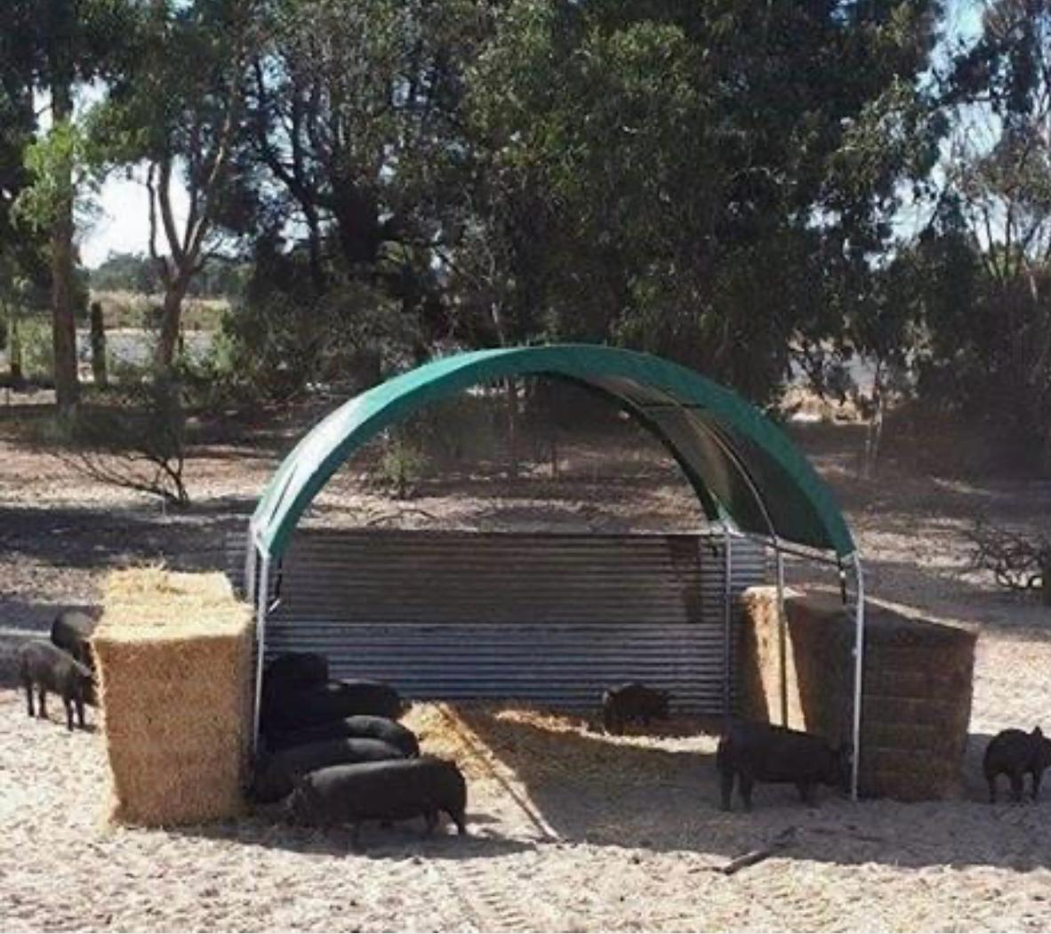 Animal shelter photo 5