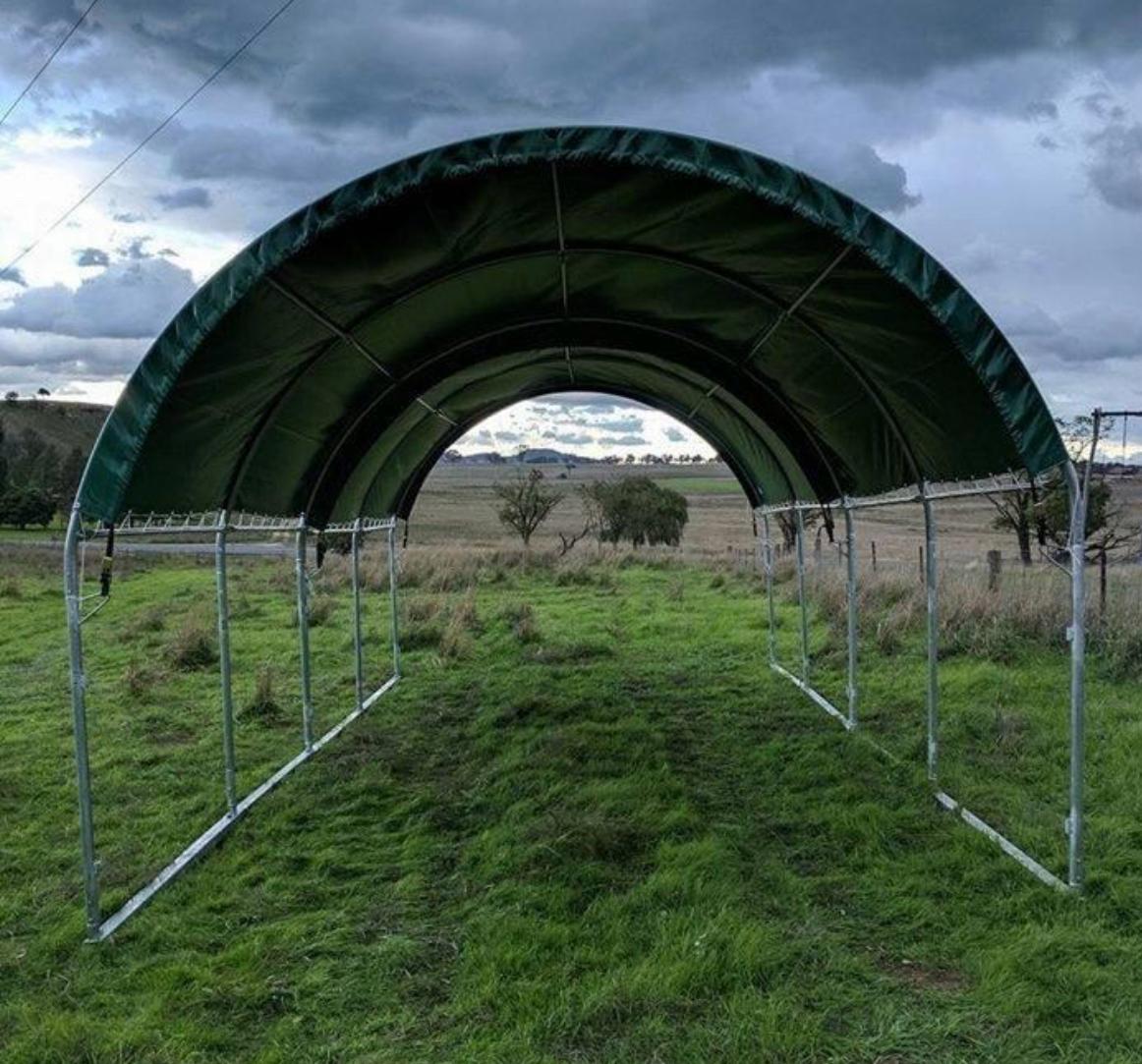 Animal shelter photo 6