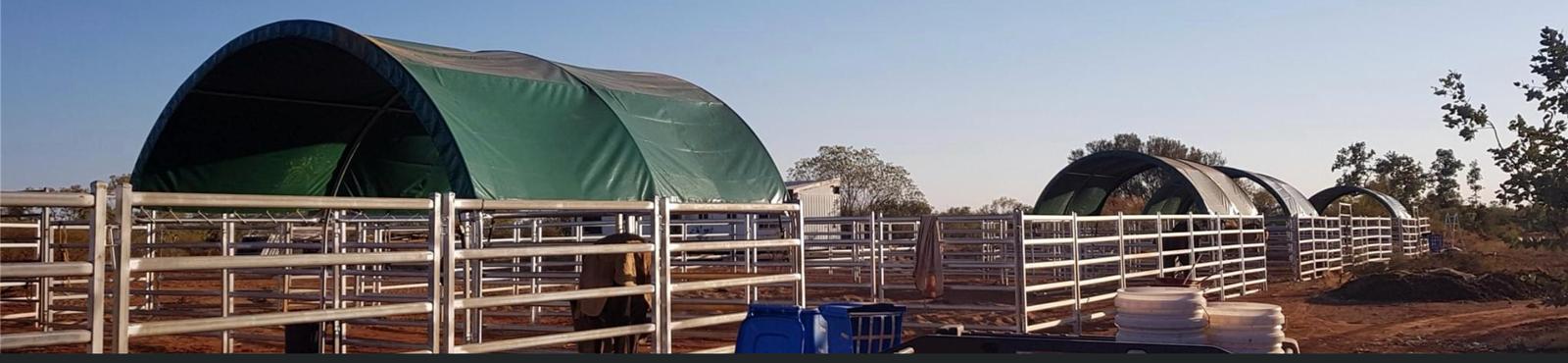 Animal shelter photo 8