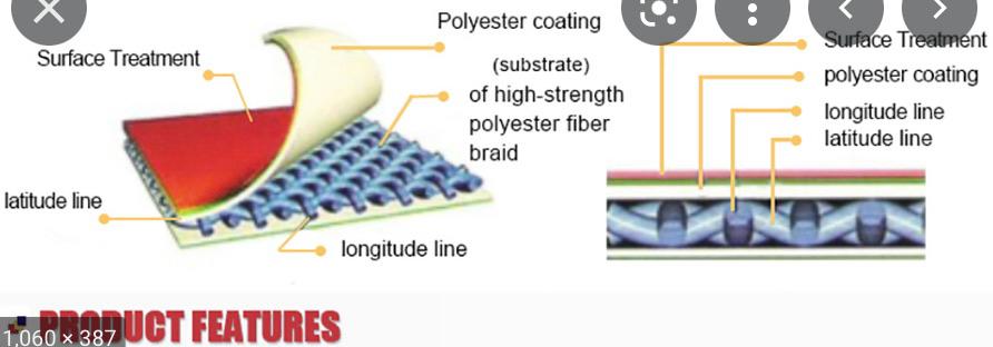 Animal shelter photo 10