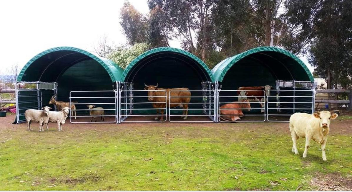 Animal shelter photo 12