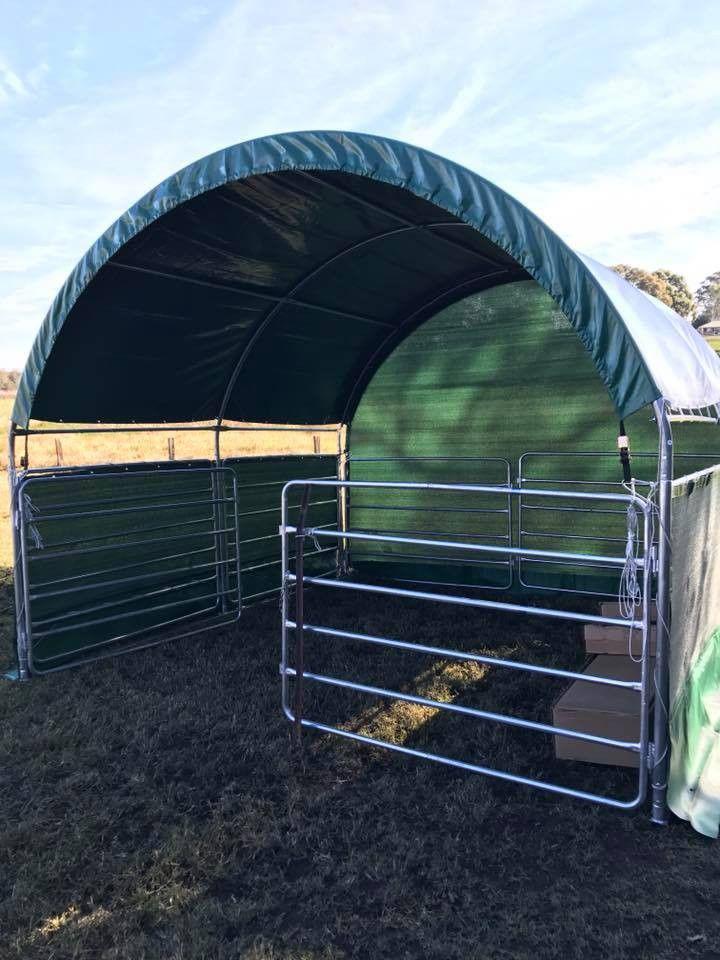 Animal shelter photo 13