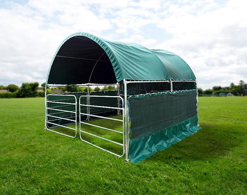 Animal shelter photo 15